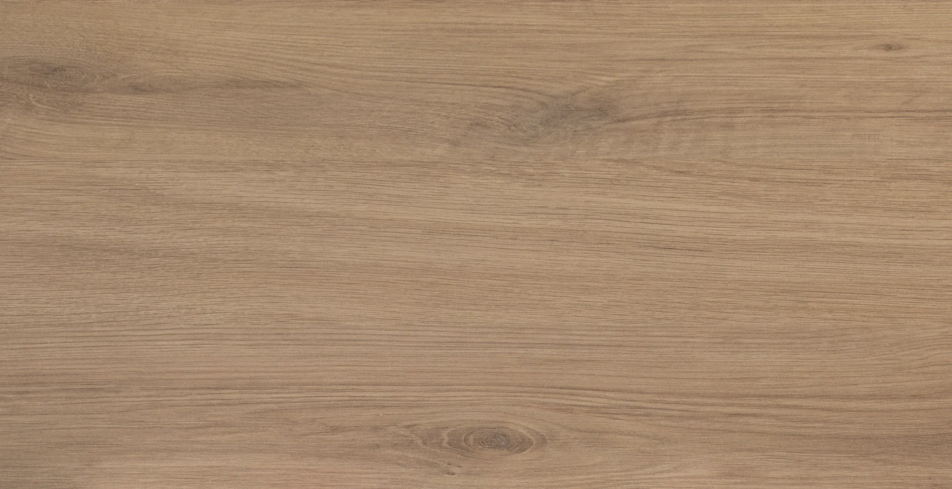 Zbliżenie na dekor Dąb Dziki – naturalna struktura drewna z wyrazistym usłojeniem i ciepłym odcieniem