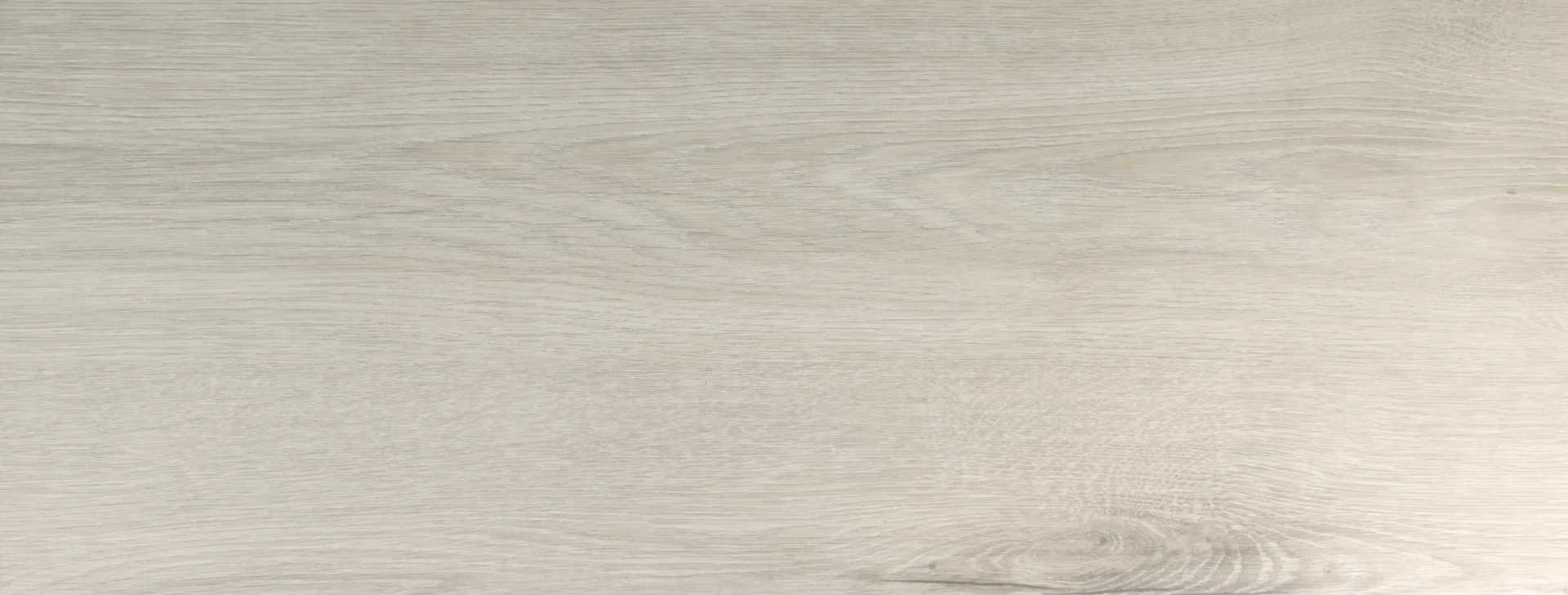 Dąb Lumberjack Bielony