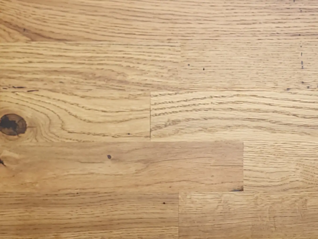 Dąb Europejski Naturalny